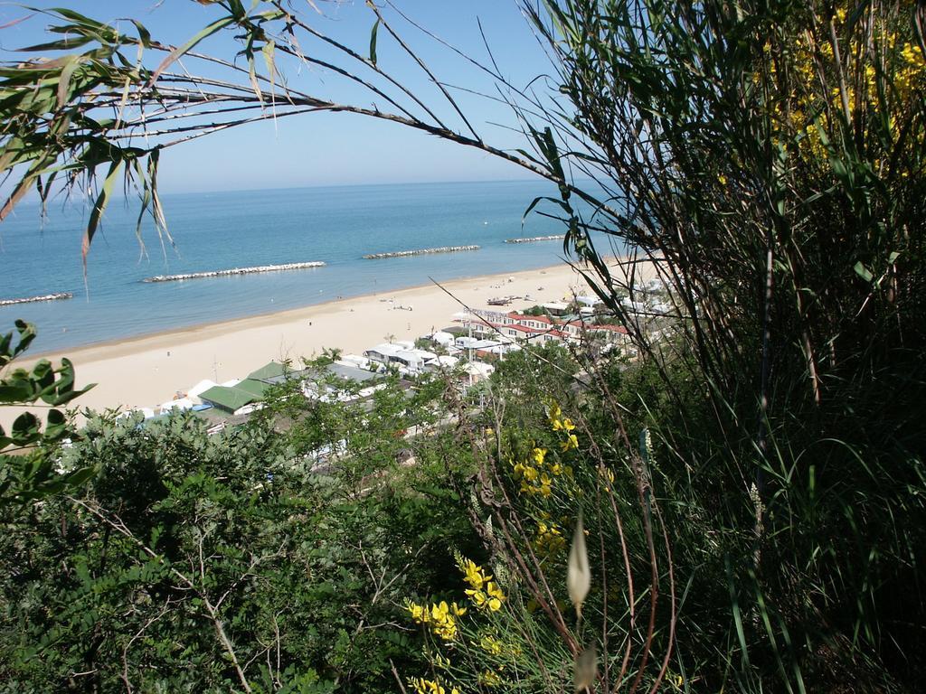 פסארו Camping Norina מראה חיצוני תמונה